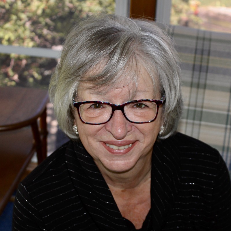 Susan Schmitt - Executive Producer, Storyteller - TellersBridge | LinkedIn