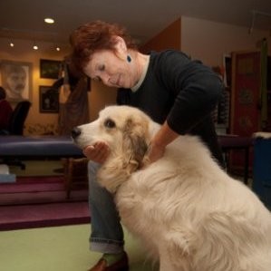 Claudia Cottrell - Chiropractor for humans and animals - Animal Kingdom  Chiropractic & Circle of Life Chiropractic | LinkedIn