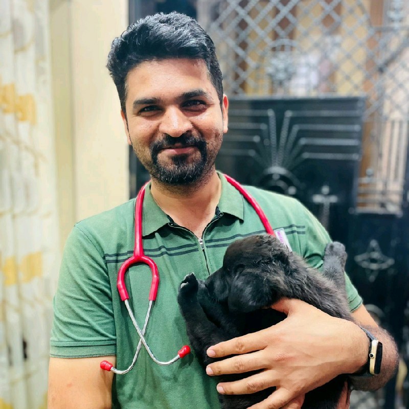 Anil Sharma - Veterinary Officer - Department of Animal Husbandry Himachal  Pradesh | LinkedIn