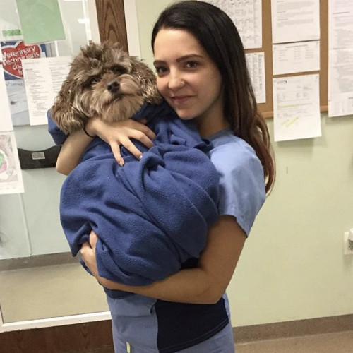 Erin O'Keeffe - Hospital Manager - 4 Paws Animal Hospital | LinkedIn