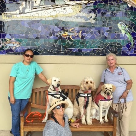 Judy Suan - Service dog skills trainer using Animal Assisted Therapy with  Certified Service Dog - Pawsatively Sharing Aloha | LinkedIn