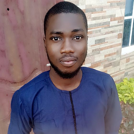 Ismail Ibrahim - Nigeria | Professional Profile | LinkedIn