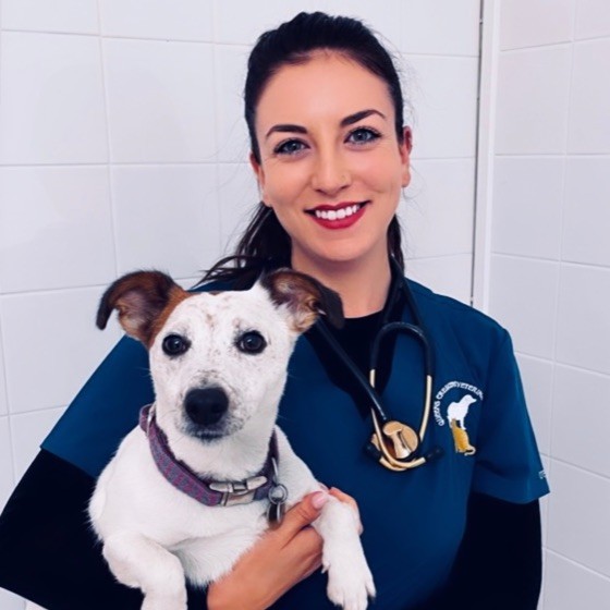 Miranda Williams - Veterinary Surgeon - QUEENS CRESCENT VETERINARY CLINIC  LTD | LinkedIn