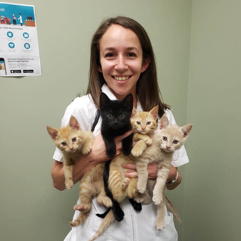 Dr. Samyra Stuart-Altman - Shelter Veterinarian - Winnipeg Animal Services  | LinkedIn