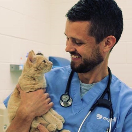 Zachary Crouse - Staff Veterinarian, Internal Medicine Department - Angell Animal  Medical Center | LinkedIn