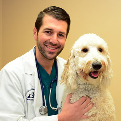 Jared Coren - Medical Director, Co-Owner - West Hills Animal Hospital &  24hr Emergency Veterinary Center | LinkedIn