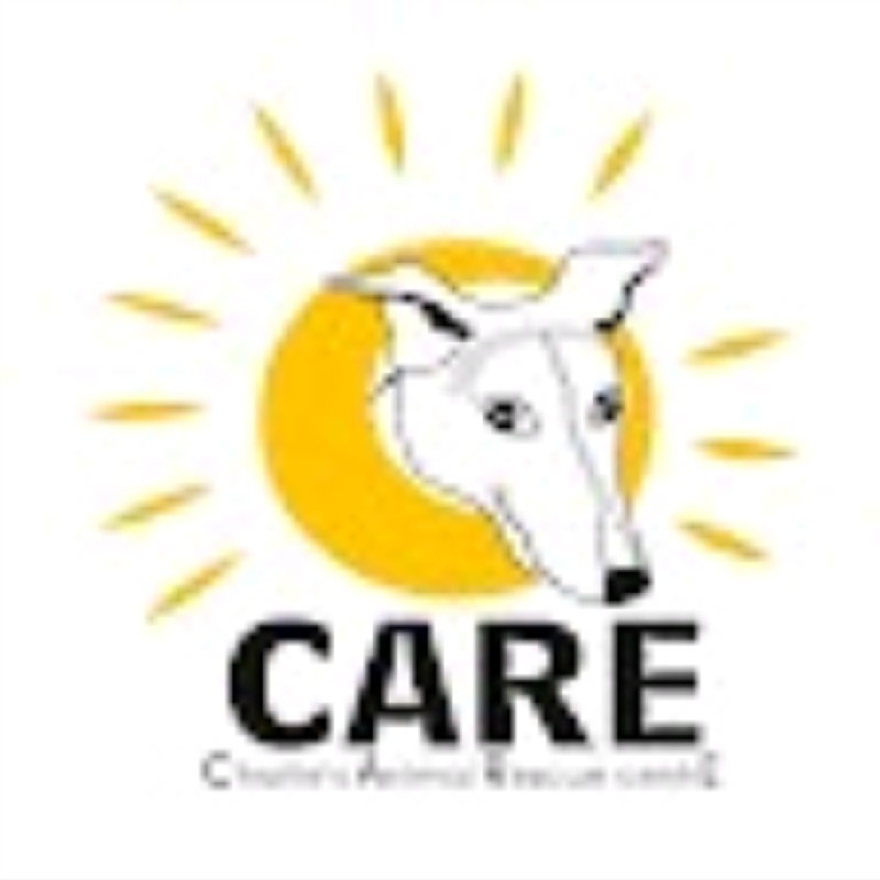 Charlie's Animal Rescue centrE - Organisation - Charlie's Animal Rescue  centrE | LinkedIn