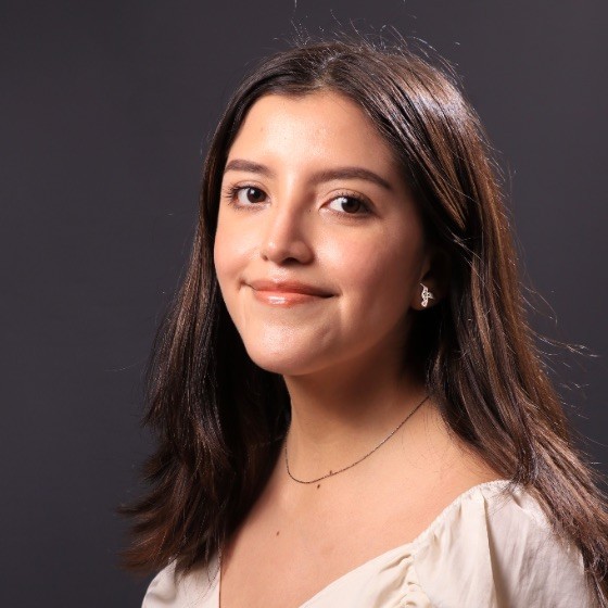 Paola Meza Hernández - Project Financial Analyst - On.Energy | LinkedIn