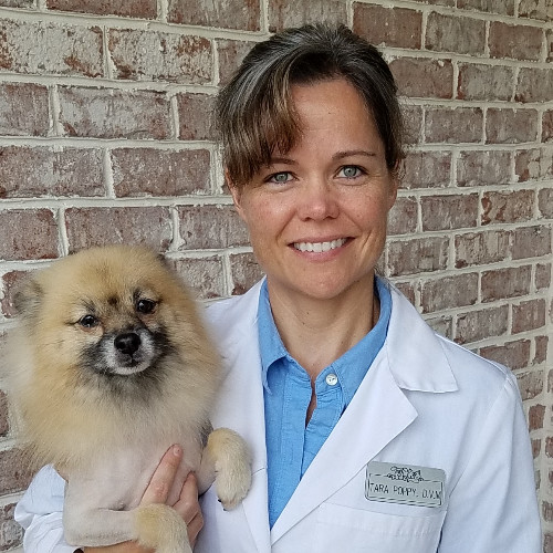 Tara Poppy - Managing DVM - All God's Creatures Veterinary Hospital |  LinkedIn