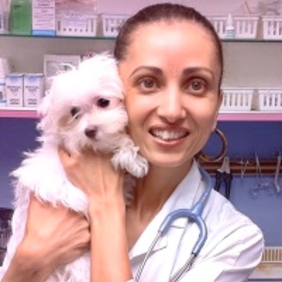 Ninette Mikhail Ibrahim DVM - Veterinarian, Animal Clinic of Bay Ridge - Animal  Clinic of Bay Ridge | LinkedIn