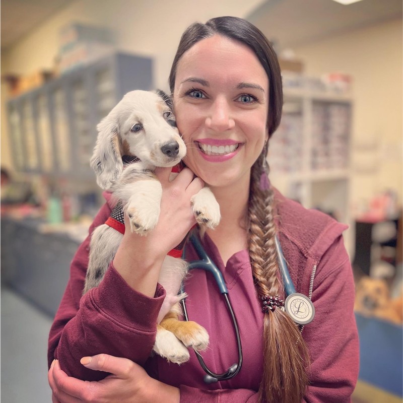 Laura Fletcher - Veterinarian - Prince Frederick Animal Hospital | LinkedIn