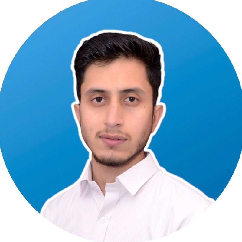 Abid Bhatti - Software Engineer - VT Netzwelt | LinkedIn