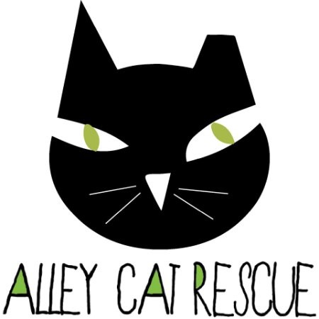 Alley Cat Rescue - President and Founder - Alley Cat Rescue | LinkedIn