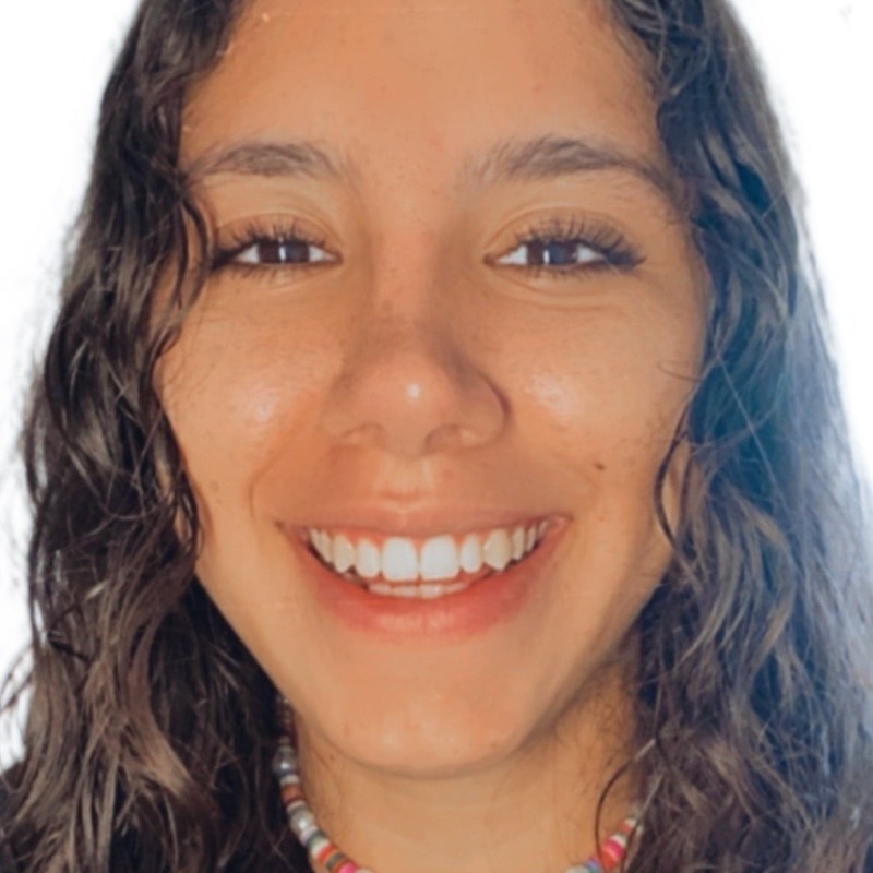 Chrysler Motors Corp Employee Allison Fuentes Vega's profile photo