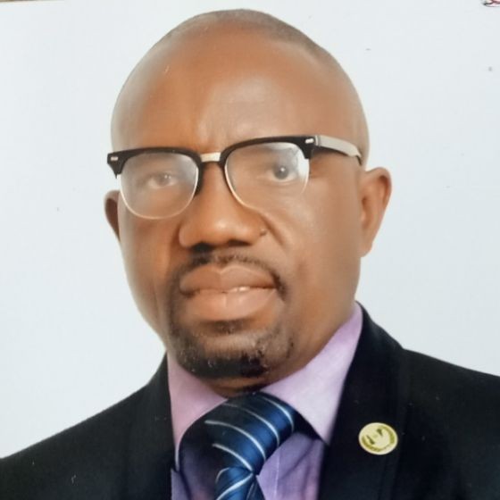 Solomon Okopi - Chief Learning Officer - Omnisensei | LinkedIn