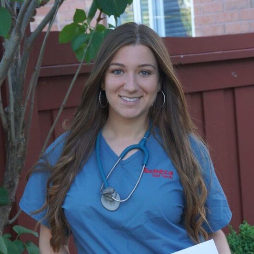 Christina DiPasquale - Registered Veterinary Technician - North Hill Animal  Hospital | LinkedIn