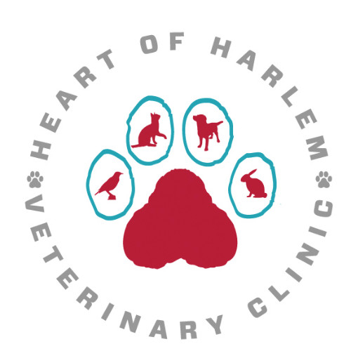 Heart of Harlem Vet Clinic - Manager - Heart of Harlem Veterinary Clinic |  LinkedIn