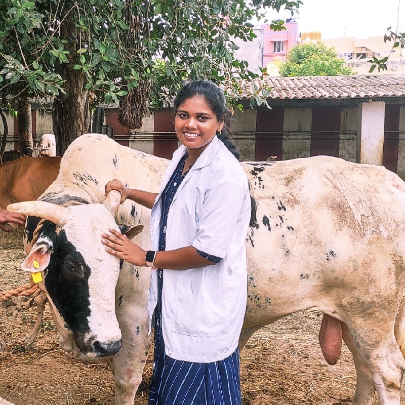  Siva - Postgraduate Student - Tamilnadu Veterinary & Animal  Sciences University, Chennai | LinkedIn