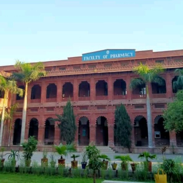Marium munir - University of the Punjab - Lahore, Punjab, Pakistan | LinkedIn