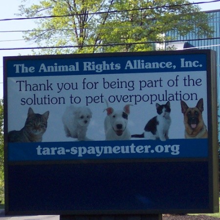 Stephen Tardif . - The Animal Rights Alliance Inc (TARA) | LinkedIn