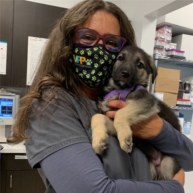 Jasmine Washington - Practice Manager - Riverbend Veterinary PetCare  Hospital | LinkedIn