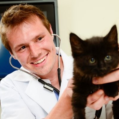 Ryan Adams - Associate Veterinarian - Cheyenne West Animal Hospital |  LinkedIn