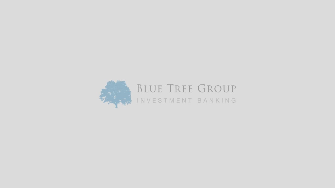 Blue Tree Group Investment Banking on LinkedIn: #investmentbanking # Blue Tree Group Investment Banking on LinkedIn: #investmentbanking #
