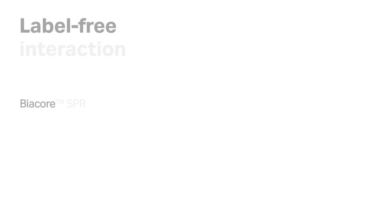 Pranav Pandey on LinkedIn: #biacore #cytiva Pranav Pandey on LinkedIn: #biacore #cytiva