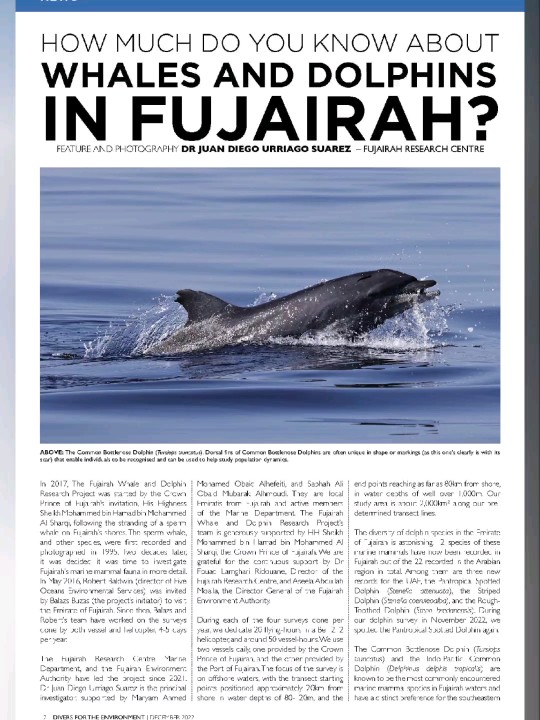 Juan Diego Urriago Suarez on LinkedIn: #fujairah #whale #dolphin #project # fujairah #uae #cetaceans #fujairah…