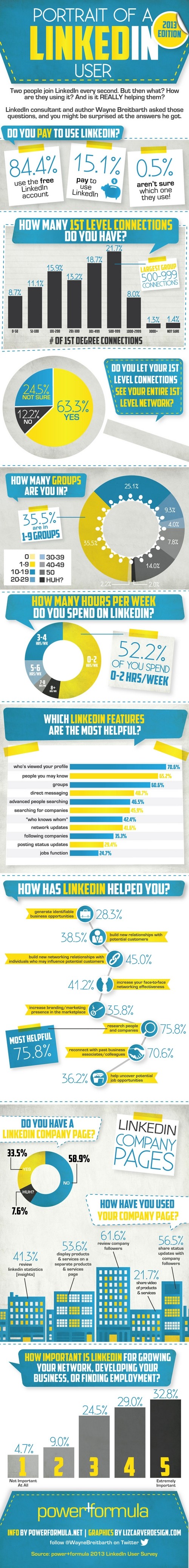 Infographic-portrait of a linkedin user