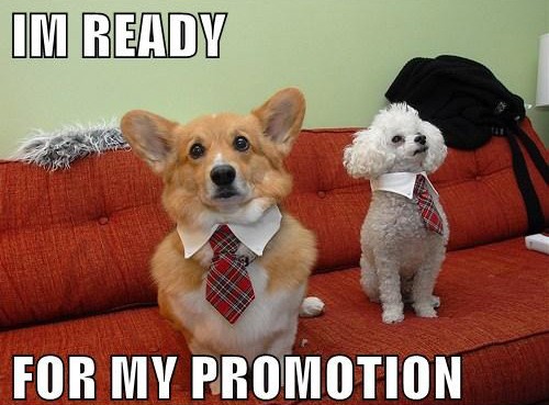 ready-for-promotion