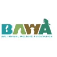Bali Animal Welfare Association | LinkedIn
