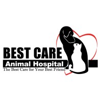 Best Care Animal Hospital | LinkedIn
