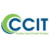 CCIT INC
