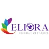 Eliora IT Services