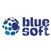 Blue Soft Group