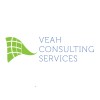 VEAH Consulting Services