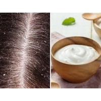 Is Curd Good For Hair? All Questions Answered At One Place | LinkedIn