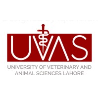 University of Veterinary and Animal Sciences, Pakistan Employees, Location,  Alumni | LinkedIn