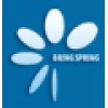 Bringspring Science & Technology Co., Ltd.