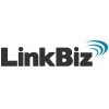 LinkBiz - Marketing de Performance - Agência Digital