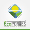 Ecopontes - Sistemas Estruturais Sustentáveis