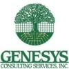 GENESYS Consulting Services, Inc.