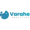 Varahe Analytics - Data Analyst - VBA/Tableau/Powe... image
