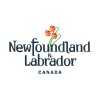 Government of Newfoundland and Labrador Graphic
