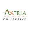 Artwork for The Axtria Collective