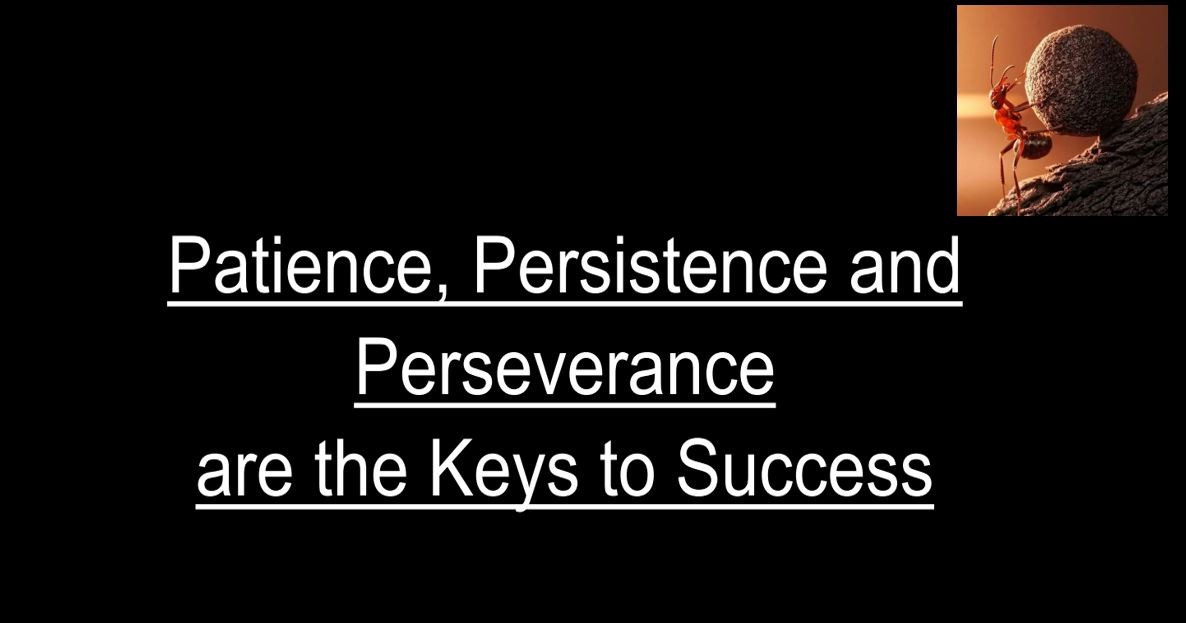 define the word perseverance