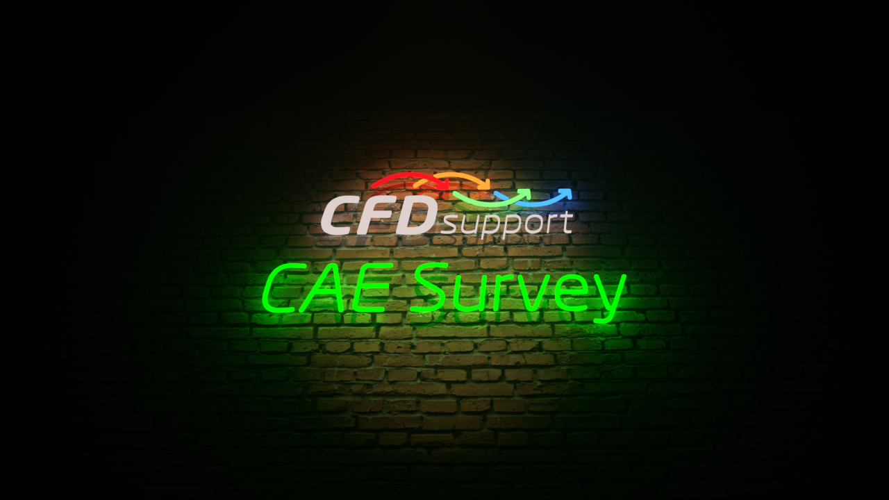 CAE Survey 2021 by CFD SUPPORT