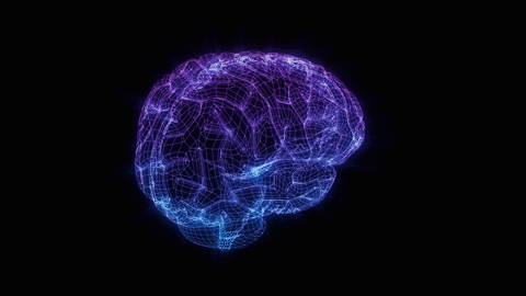 Wireless Brain Sensor: A Complete Guide for the Near Future