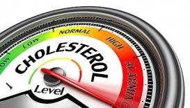 Šta je dobar, a šta loš holesterol? Uzroci i posledice visokog holesterola i triglicerida.